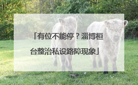 有位不能停？淄博桓台整治私设路障现象
