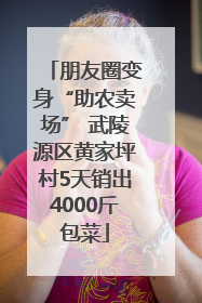朋友圈变身“助农卖场” 武陵源区黄家坪村5天销出4000斤包菜