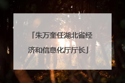 朱万奎任湖北省经济和信息化厅厅长