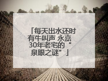 每天出水还时有牛叫声 永嘉30年老宅的“泉眼之谜”