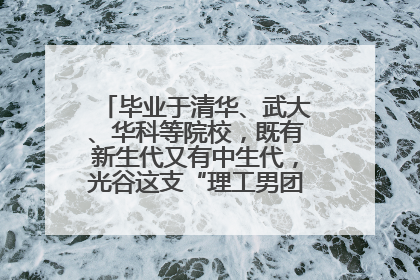 毕业于清华、武大、华科等院校，既有新生代又有中生代，光谷这支“理工男团”为何“出道”？
