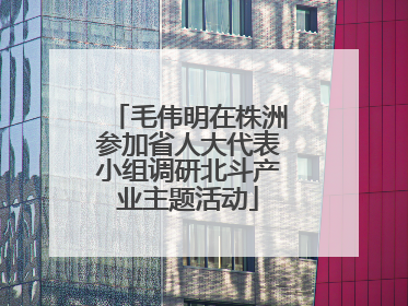 毛伟明在株洲参加省人大代表小组调研北斗产业主题活动