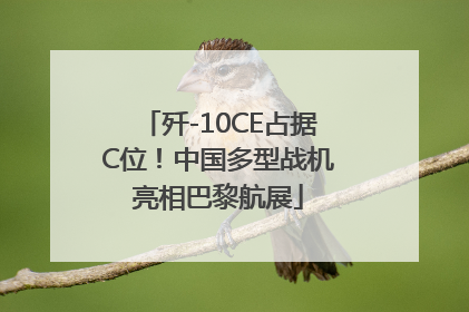 歼-10CE占据C位！中国多型战机亮相巴黎航展