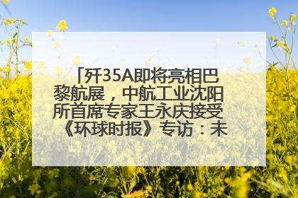 歼35A即将亮相巴黎航展，中航工业沈阳所首席专家王永庆接受《环球时报》专访：未来数量可以有很多