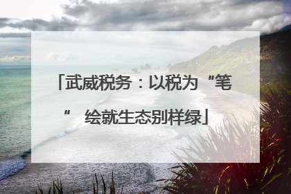 武威税务：以税为“笔” 绘就生态别样绿