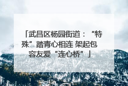 武昌区杨园街道：“特殊”踏青心相连 架起包容友爱“连心桥”