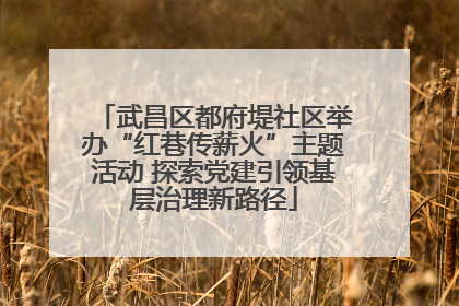 武昌区都府堤社区举办“红巷传薪火”主题活动 探索党建引领基层治理新路径