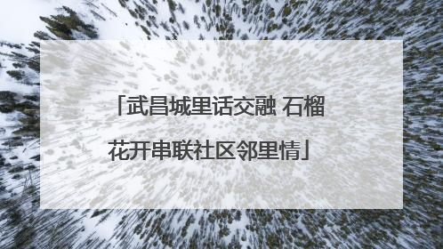 武昌城里话交融 石榴花开串联社区邻里情
