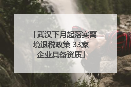 武汉下月起落实离境退税政策 33家企业具备资质