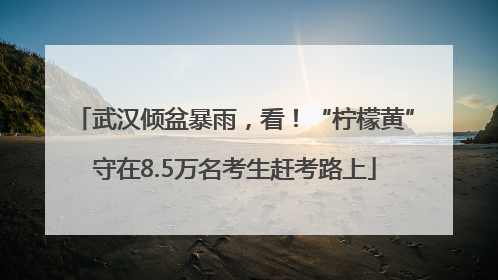 武汉倾盆暴雨，看！“柠檬黄”守在8.5万名考生赶考路上