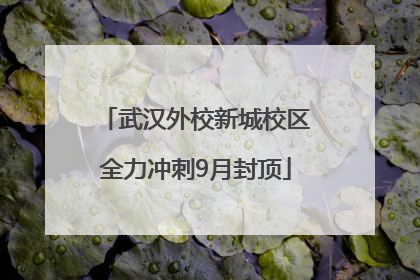武汉外校新城校区全力冲刺9月封顶