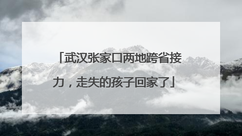 武汉张家口两地跨省接力，走失的孩子回家了
