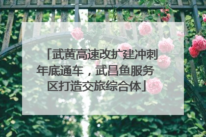 武黄高速改扩建冲刺年底通车，武昌鱼服务区打造交旅综合体