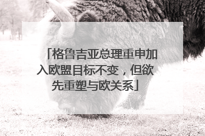 格鲁吉亚总理重申加入欧盟目标不变，但欲先重塑与欧关系