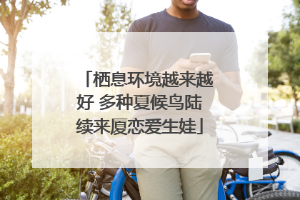 栖息环境越来越好 多种夏候鸟陆续来厦恋爱生娃