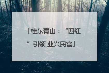 桂东青山：“四红”引领 业兴民富