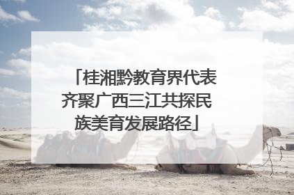 桂湘黔教育界代表齐聚广西三江共探民族美育发展路径
