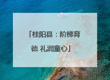 桂阳县：阶梯育德 礼润童心