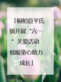 桐柏县平氏镇开展“六一”关爱活动 情暖童心助力成长