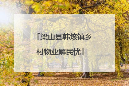 梁山县韩垓镇乡村物业解民忧