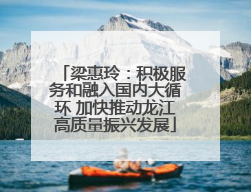 梁惠玲：积极服务和融入国内大循环 加快推动龙江高质量振兴发展