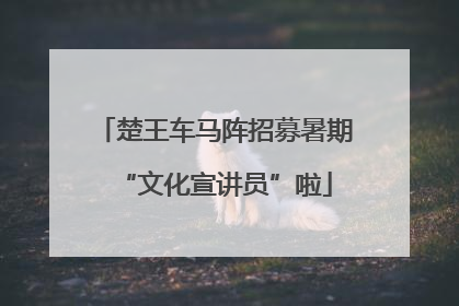 楚王车马阵招募暑期“文化宣讲员”啦