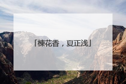 楝花香，夏正浅