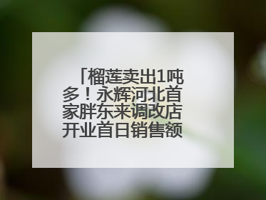 榴莲卖出1吨多！永辉河北首家胖东来调改店开业首日销售额同比增10倍