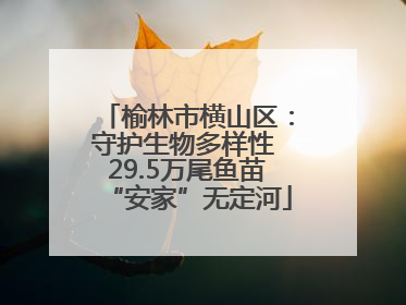 榆林市横山区：守护生物多样性 29.5万尾鱼苗“安家”无定河