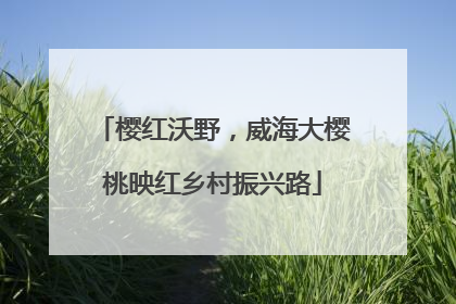 樱红沃野，威海大樱桃映红乡村振兴路