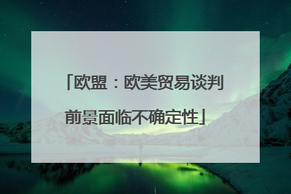 欧盟：欧美贸易谈判前景面临不确定性