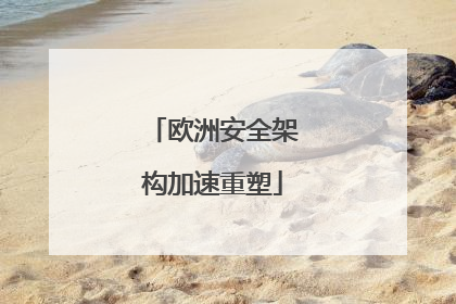 欧洲安全架构加速重塑