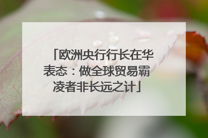 欧洲央行行长在华表态：做全球贸易霸凌者非长远之计
