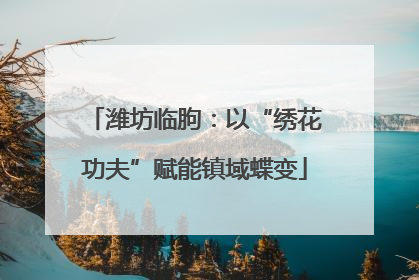潍坊临朐：以“绣花功夫”赋能镇域蝶变