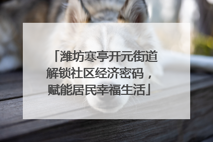 潍坊寒亭开元街道解锁社区经济密码，赋能居民幸福生活