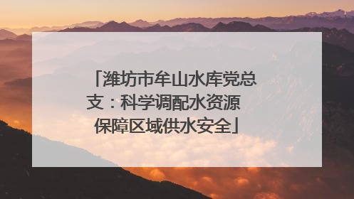 潍坊市牟山水库党总支：科学调配水资源 保障区域供水安全