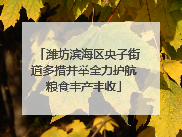 潍坊滨海区央子街道多措并举全力护航粮食丰产丰收