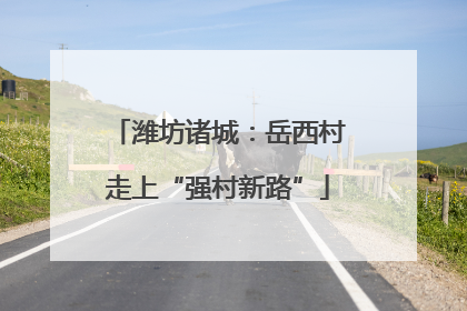 潍坊诸城：岳西村走上“强村新路”