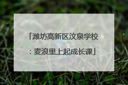 潍坊高新区汶泉学校：麦浪里上起成长课