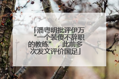 潘粤明批评伊万“一个装傻不辞职的教练”，此前多次发文评价国足