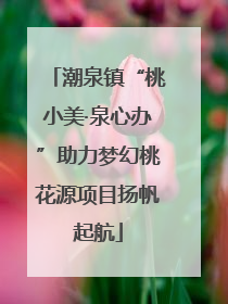 潮泉镇“桃小美·泉心办”助力梦幻桃花源项目扬帆起航