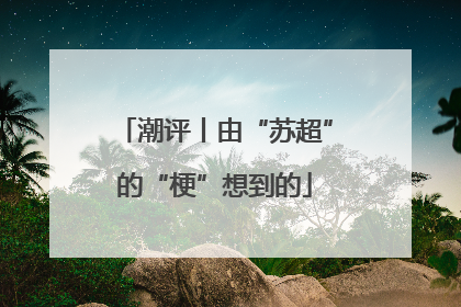 潮评丨由“苏超”的“梗”想到的