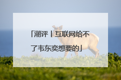 潮评丨互联网给不了韦东奕想要的