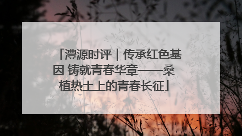 澧源时评｜传承红色基因 铸就青春华章——桑植热土上的青春长征