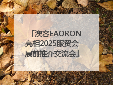 澳容EAORON亮相2025服贸会展前推介交流会