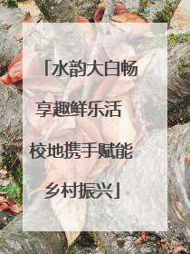 水韵大白畅享趣鲜乐活 校地携手赋能乡村振兴