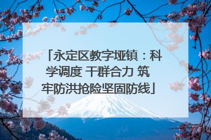 永定区教字垭镇：科学调度 干群合力 筑牢防洪抢险坚固防线