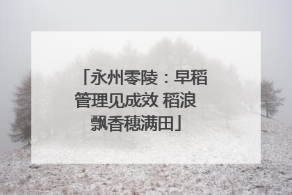 永州零陵：早稻管理见成效 稻浪飘香穗满田