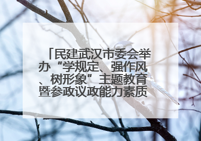 民建武汉市委会举办“学规定、强作风、树形象”主题教育暨参政议政能力素质提升培训班