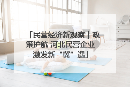 民营经济新观察｜政策护航 河北民营企业激发新“冀”遇